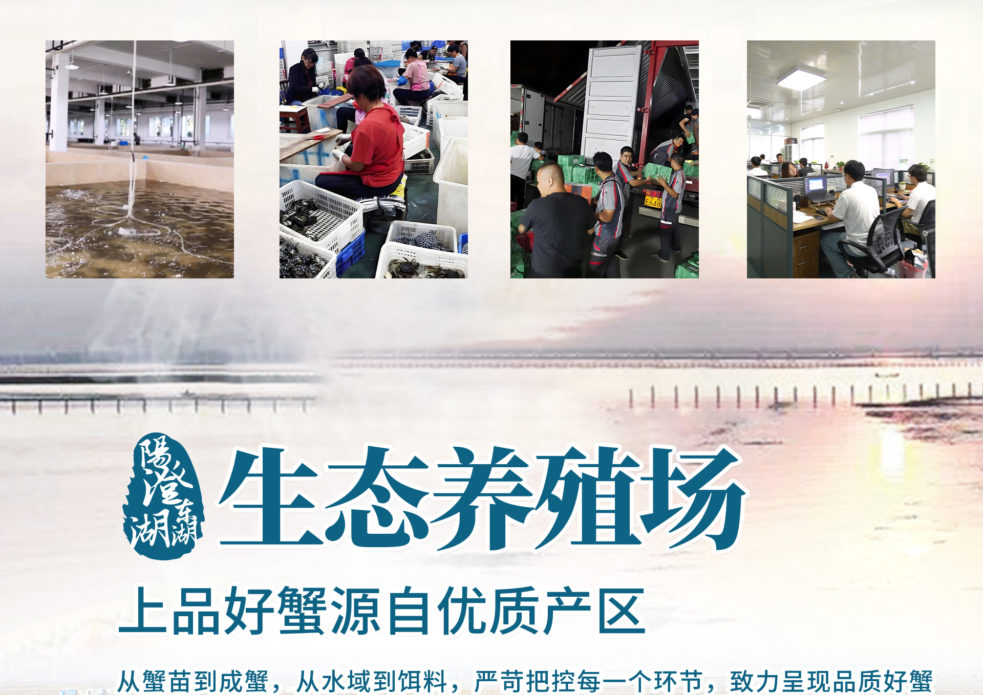 阳澄湖大闸蟹礼卡