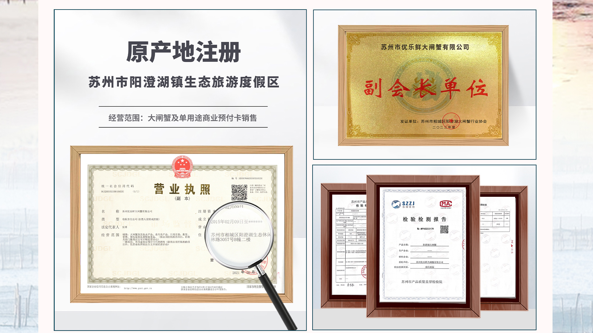 阳澄湖大闸蟹多少钱