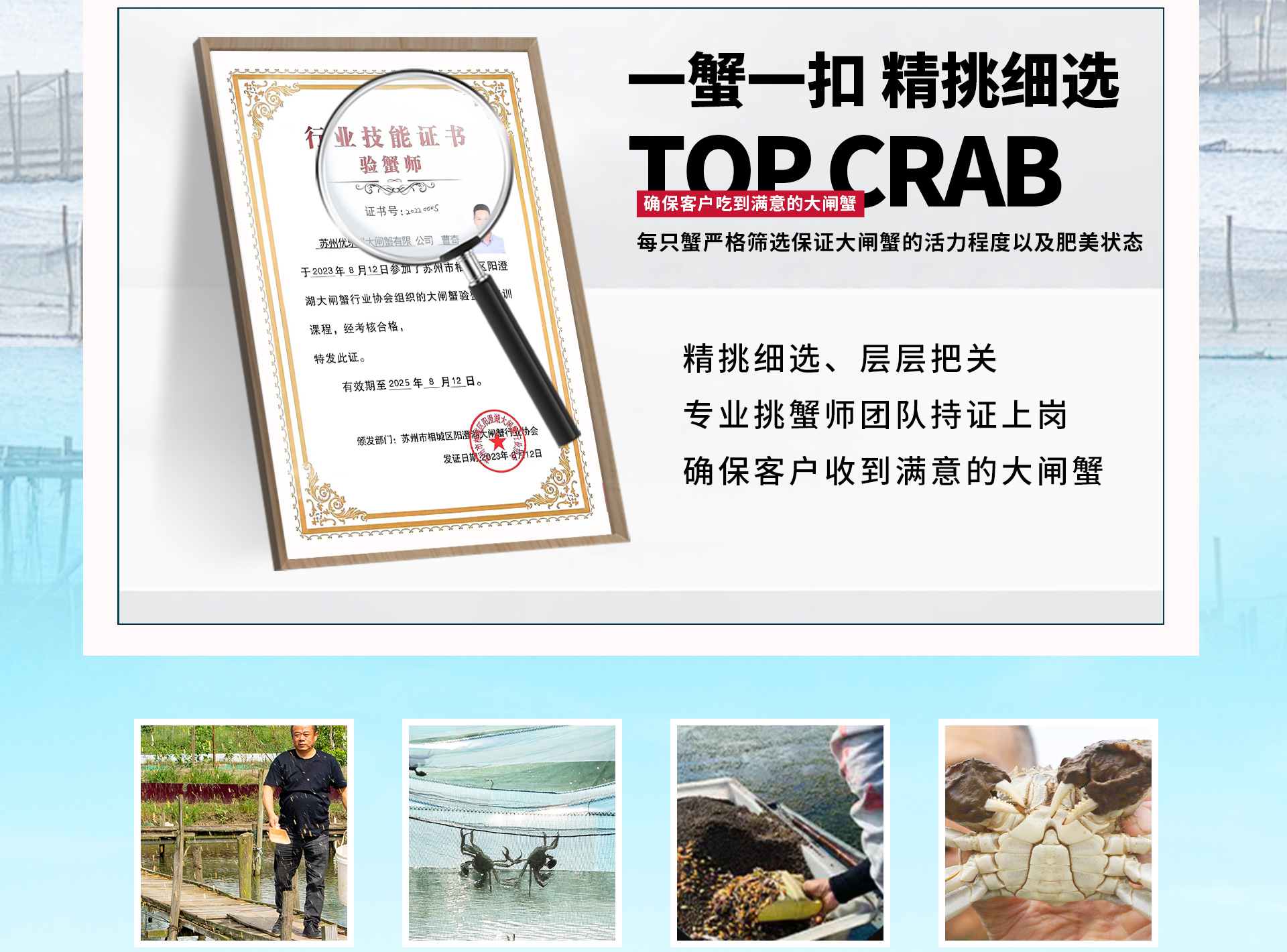 阳澄湖大闸蟹团购