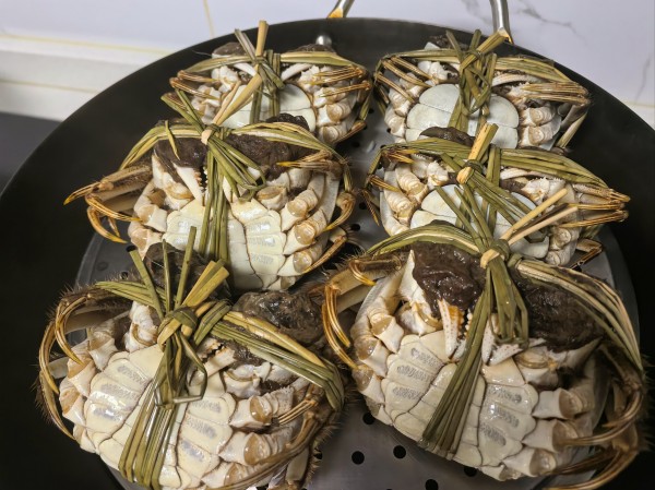 揭秘阳澄湖大闸蟹的独特生长环境