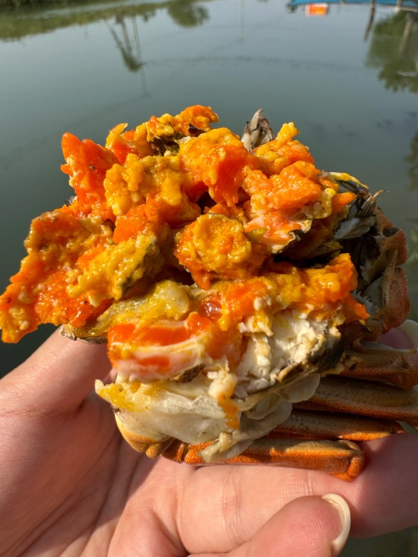 大闸蟹礼券,节日送礼的热门之选 大闸蟹礼券,节日送礼的热门之选