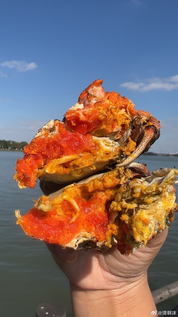 2025年必知！大闸蟹礼券选购全攻略