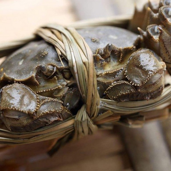 性价比高的大闸蟹礼券，你选对了吗？