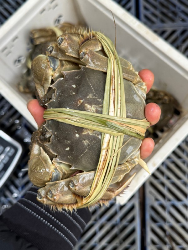 2025年大闸蟹加盟新机遇，抢占市场先机！