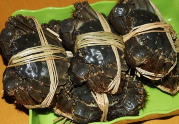 品阳澄湖大闸蟹，感受江南水乡的韵味