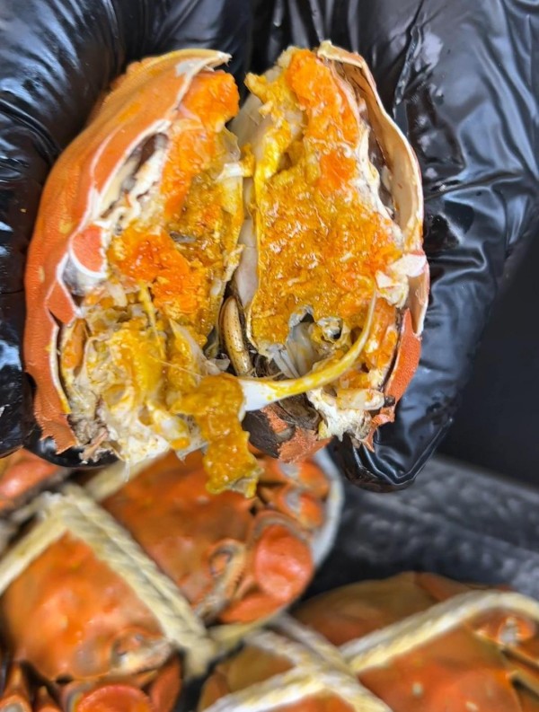 高端大闸蟹礼盒，彰显品味与心意