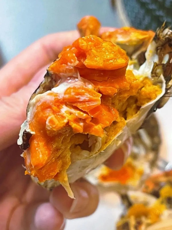 大闸蟹加盟哪家强?全方位对比为你揭晓! 大闸蟹加盟哪家强?全方位对比为你揭晓!