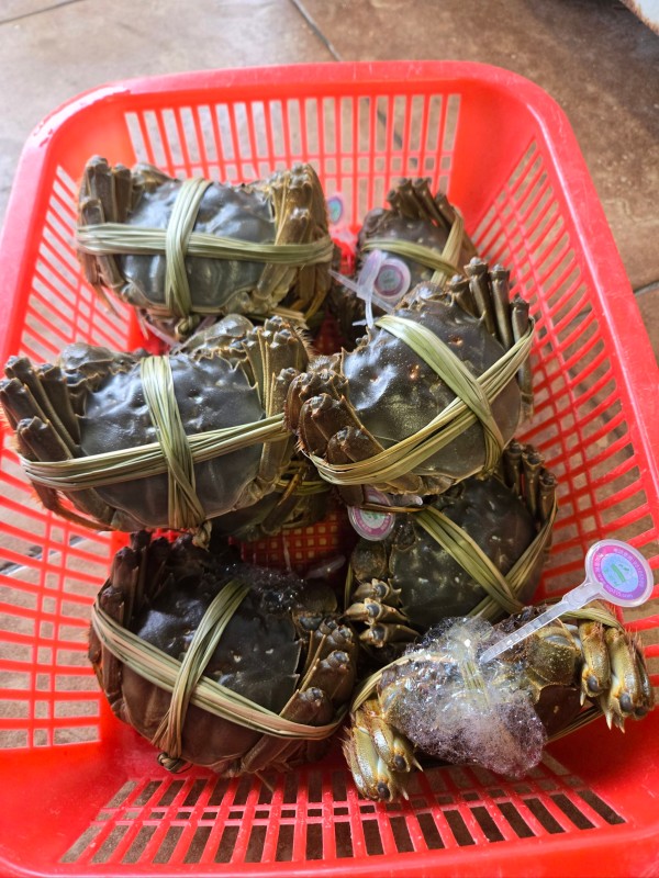 阳澄湖大闸蟹礼券怎么选 送人体面又划算