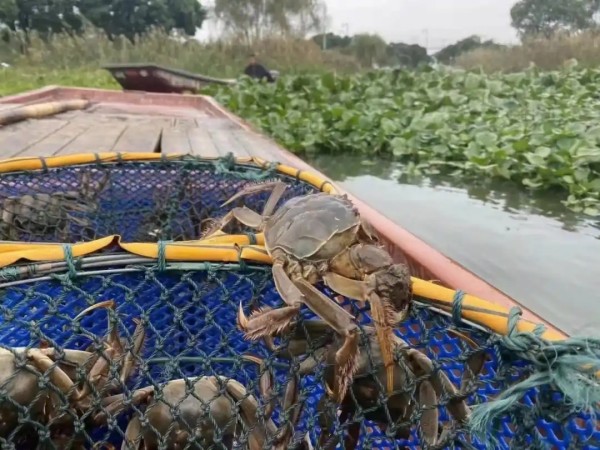 大闸蟹礼券兑换流程详解，轻松搞定