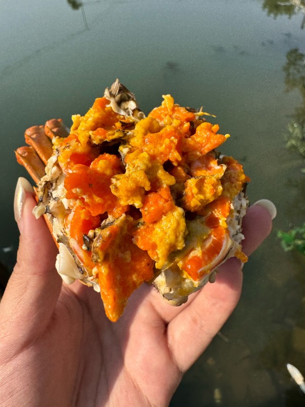 大闸蟹礼券避坑指南 怎么选不踩雷送礼有面子