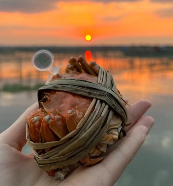 深度剖析大闸蟹加盟的核心竞争力