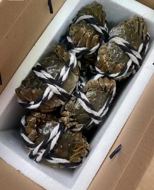 阳澄湖大闸蟹怎么选择 实用指南助你避坑-1