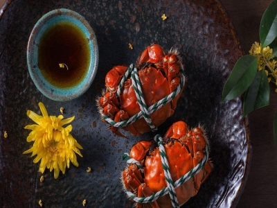 大闸蟹，肥美只选，味蕾之享