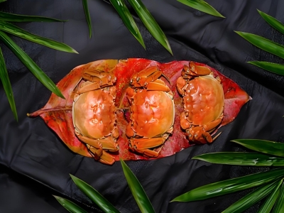 天高马肥，膏黄蟹美