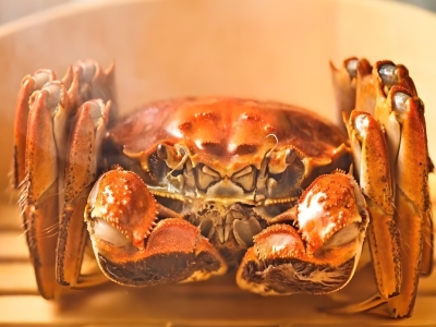 阳澄湖畔的味觉传奇：大闸蟹的诱惑