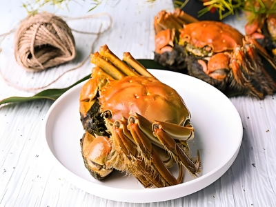  蟹逅金秋，阳澄湖的黄金馈赠