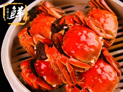 阳澄湖大闸蟹：金秋时节的美味传奇