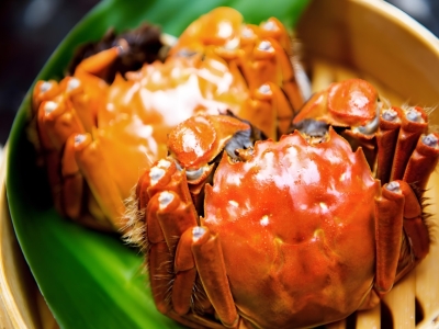 阳澄湖大闸蟹为什么这么受欢迎？